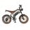 Dyu M20 Adulto Bicicleta Eléctrica 1500W Motor 48V 18.2Ah Batería 20 Pulgadas Neumático Graso