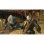 Jogo Xbox One The Witcher 3: Wild Hunt Game of the Year Edition BANDAI NAMCO