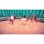 Jogo Temtem Microsoft Xbox Series X Multijogador Online