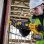 Seghetto alternativo DeWALT DCS389NT-XJ Brushless 3000 spm 30 cm