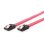 Cable SATA III Gembird 0,3 m Macho/Macho Rosa