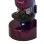 Microscopio Levenhuk Labzz M101 Violeta