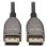 Câble Optique Actif DisplayPort 8K 60 Hz Eaton 30 m CL3