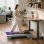 Caminadora Urevo CyberPad for Office Smart 2 Plata 136 kg 6,44 km/h