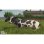Juego Giants Software Farming Simulator 25 para PC