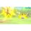 Jogo Nintendo Pokémon: Let's Go, Pikachu! Nintendo Switch Multijogador