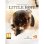 Juego The Dark Pictures Anthology: Little Hope para Xbox Series X