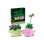 LEGO Botanicals Petites Plantes Dansantes 11506 253 pièces
