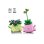 LEGO Botanicals Petites Plantes Dansantes 11506 253 pièces