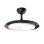 Deckenventilator mit Licht Cecotec EnergySilence Aero 4500 30W 107cm 6 Stufen Einklappbare Flügel Fernbedienung Timer