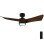 Ventilador de Techo con Luz Cecotec EnergySilence Aero 5330 Jelly Black&Wood 30W 117cm 6 Velocidades Motor DC Aspas Retráctiles Mando Temporizador