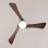 Ventilador de Techo con Luz Cecotec EnergySilence Aero 5330 Jelly Black&Wood 30W 117cm 6 Velocidades Motor DC Aspas Retráctiles Mando Temporizador