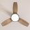 Ventilateur de Plafond avec Lumière Cecotec EnergySilence Aero 352 BlackBee 15W 91,5cm 6 Vitesses Moteur DC Télécommande Minuterie Fonction Hiver