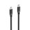USB-C- auf USB-C-Kabel Hama 1 m USB 2.0 Schwarz