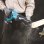 Scie sauteuse Makita DJR186Z 18V Li-Ion 2800 spm Noir/Bleu