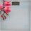 Balança Digital Esperanza Orchid EBS010 Até 180 kg Precisão 1000 g Plataforma de Vidro Rosa