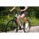 MTB Huffy Extent 26" 18 Velocidades Branco Brilhante