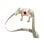 Massaggiatore per Collo e Spalle SKG Hsp500-2 Bianco