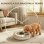 Pawhut Comedero Automático Para Gatos Y Perros Con Temporizador Paquete De Hielo