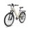 Vélo Électrique Fafrees F26 Pro - Moteur 250W Batterie 36V15Ah Roues 26x1.75