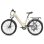 Vélo Électrique Fafrees F26 Pro - Moteur 250W Batterie 36V15Ah Roues 26x1.75