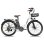 Bicicletta Elettrica Fafrees F26 Lasting 250W 36V25Ah 26" Bianca