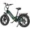 Bicicleta Elétrica Maxturn Camel 250W 48V18ah 20" Travões de Disco Hidráulicos Verde