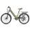Bicicleta eléctrica Fafrees F26 Pro batería 36V 15Ah motor 250W autonomía 65 km