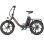 Bicicleta Elétrica Maxturn Mule 250W 48V20Ah 20" Travões de Disco Mecânicos Cinzento