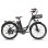 Bicicleta eléctrica Fafrees F26 Motor Lasting 250W Batería 36V 25Ah Ruedas 26 pulgadas