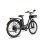 Bicicleta eléctrica Fafrees F26 Motor Lasting 250W Batería 36V 25Ah Ruedas 26 pulgadas