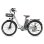 Bicicleta Elétrica Fafrees F26 Lasting 250W 36V25Ah 26" Cinzento
