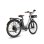Bicicleta Elétrica Fafrees F26 Lasting 250W 36V25Ah 26" Cinzento