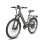 Bicicletta Elettrica Fafrees F26 Pro - Motore 250W Batteria 36V15ah Ruote 26x1.75 Freni a Disco Meccanici Grigio