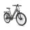 Bicicletta Elettrica Fafrees F26 Pro - Motore 250W Batteria 36V15ah Ruote 26x1.75 Freni a Disco Meccanici Grigio