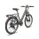 Bicicletta Elettrica Fafrees F26 Pro - Motore 250W Batteria 36V15ah Ruote 26x1.75 Freni a Disco Meccanici Grigio