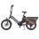 Bicicletta Elettrica Engwe LE20 EU - Pneumatici 20 Pollici Motore 250W Batteria Doppia 48V38.4AH Freni Idraulici Grigio