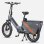 Bicicletta Elettrica Engwe LE20 EU - Pneumatici 20 Pollici Motore 250W Batteria Doppia 48V38.4AH Freni Idraulici Grigio
