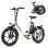 Bicicletta Elettrica Maxturn Mule 250W 48V20Ah 20" Freni a Disco Meccanici Bianco