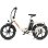 Bicicletta Elettrica Maxturn Mule 250W 48V20Ah 20" Freni a Disco Meccanici Bianco