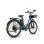 Bicicletta Elettrica Fafrees F26 Lasting 250W Batteria 36V 25Ah