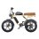 Bicicleta Elétrica Engwe M1 Eu 250w Bateria 48v28.6ah Pneus 20 Polegadas Freios a Disco Hidráulicos Amarelo