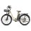 Bicicleta Elétrica Fafrees F26 Lasting 250W 36V25Ah 26" Travões de Disco Mecânicos