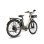 Bicicleta Elétrica Fafrees F26 Lasting 250W 36V25Ah 26" Travões de Disco Mecânicos