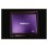 Reprodutor Media BrightSign XD236 4K UHD 256 GB SSD Digital Signage