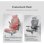Sihoo M59as Silla Ergonómica Reposabrazos 3D Ajustables Respaldo Doble