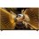 TV TCL Mini LED X11L 98X11L 98" 4K UltraHD 144Hz Smart TV Google TV Dolby Vision HDR10
