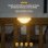 11078972