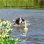 Jouet pour chien TRIXIE 32331 Multicolor 290 mm