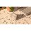 Souris Logitech Lift Ergonomique Bluetooth 4000 DPI Beige Sand